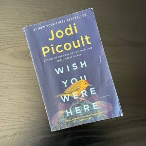 Wish You Were Here by Jodi Picoult paperback book